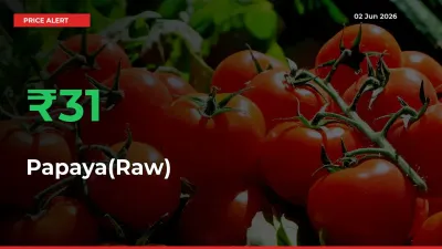 Papaya(Raw) Prices Rise 31.49% in a Day at Major Mandis
