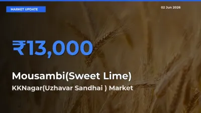 KKNagar(Uzhavar Sandhai ) Tops Mousambi(Sweet Lime) Mandi Rates Today