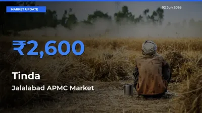 Farmers Prefer Jalalabad APMC as Tinda Hits Highest Rate