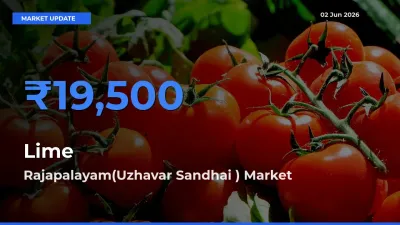 Rajapalayam(Uzhavar Sandhai ) Tops Lime Mandi Rates Today