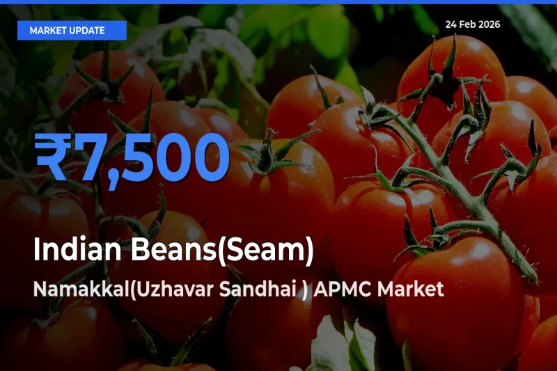 Namakkal(Uzhavar Sandhai ) APMC Tops Indian Beans(Seam) Mandi Rates Today
