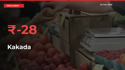 Why Kakada Prices Fell 27.62% in a Day at Mandis