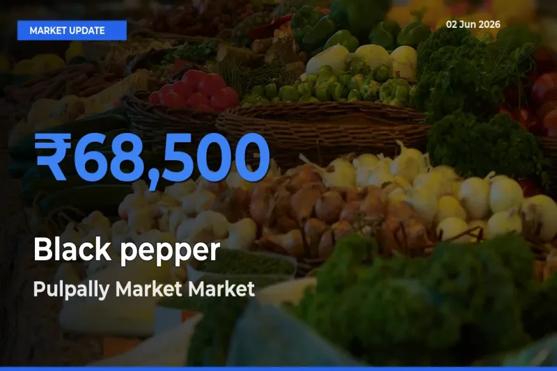 Pulpally Market Tops Black pepper Rates – June 02 Market Update