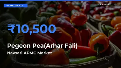 Navsari APMC Tops Pegeon Pea(Arhar Fali) Rates – June 02 Market Update