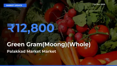 Market Watch: Palakkad Market Becomes Top Mandi for Green Gram(Moong)(Whole)