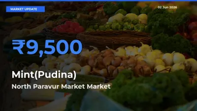 North Paravur Market Leads as Top Mandi for Mint(Pudina) Prices