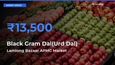 Lamlong Bazaar APMC Tops Black Gram Dal(Urd Dal) Mandi Rates Today