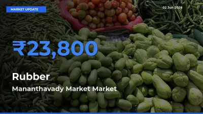 Mananthavady Market Tops Rubber Mandi Rates Today