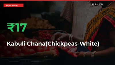 Sharp Jump! Kabuli Chana(Chickpeas-White) Prices Climb 16.94% in 24 Hours at Key Mandis