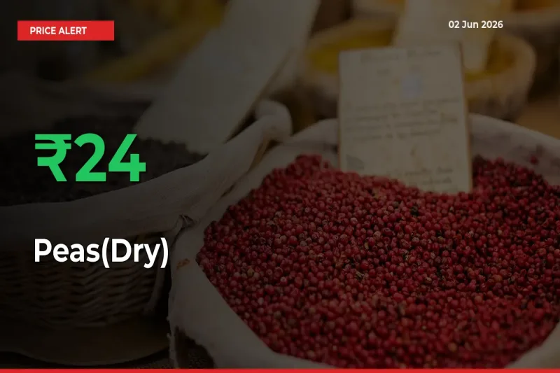 Peas(Dry) Prices Rise 24.18% in a Day at Major Mandis