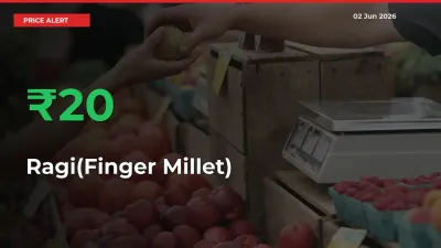 Ragi(Finger Millet) Rises 20.44% at Mandis