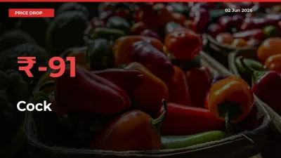 Farmers Alert as Cock Prices Slide 91.27% in Local Mandis