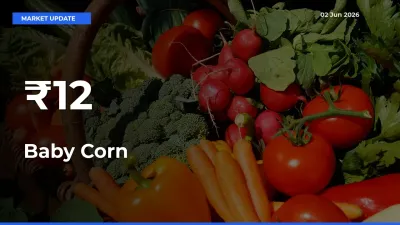 Why Baby Corn Prices Are Moving Across Multiple Mandis Today