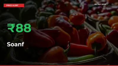 Sudden 88.47% Rally in Soanf Prices Across Mandis