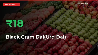 Big Rally! Black Gram Dal(Urd Dal) Climbs 18.17% in 24 Hours at Top Mandis