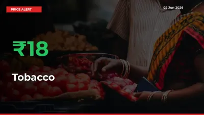 Tobacco Mandi Rate Today: Prices Jump 17.68% at Market