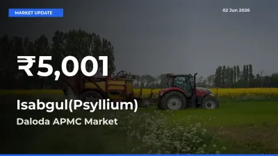 Big Drop! Isabgul(Psyllium) Slides to 30-Day Low at Daloda APMC