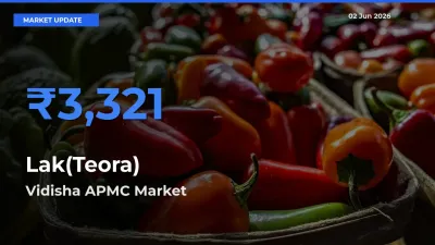 Vidisha APMC Tops Lak(Teora) Rates – June 02 Market Update