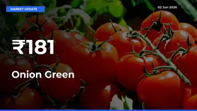 Strong Trend in Onion Green Rates Across Multiple Mandis – What It Means for Traders