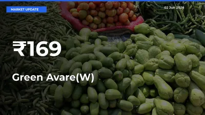 Green Avare(W) Shows Strong Mandi Trend – June 02 Market Update