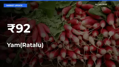 Why Yam(Ratalu) Prices Are Moving Across Multiple Mandis Today