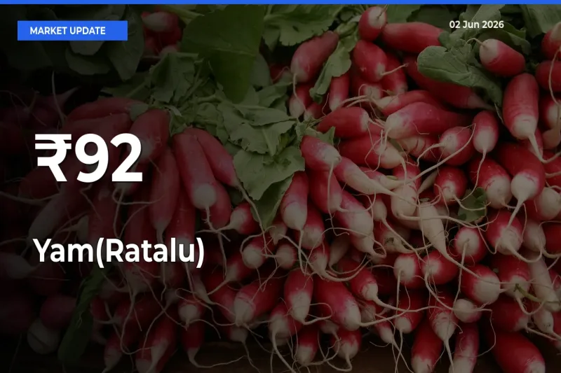 Why Yam(Ratalu) Prices Are Moving Across Multiple Mandis Today