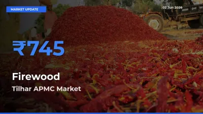 Firewood Mandi Rate Today: Tilhar APMC Tops the List