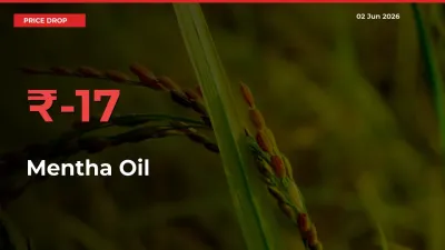 This Mandi Records 17.38% Fall in Mentha Oil Prices