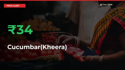 This Mandi Records 34.22% Jump in Cucumbar(Kheera) Prices