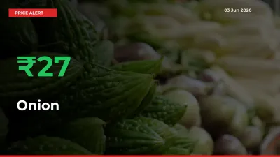 Onion Rises 26.78% at Mandis