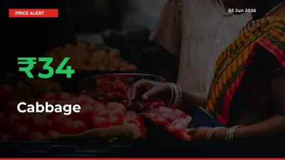 Why Cabbage Prices Rose 34.34% in a Day at Mandis