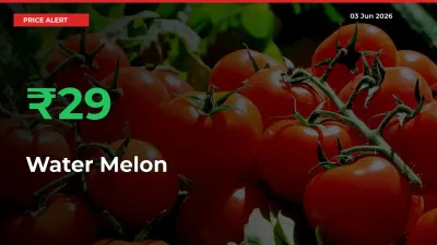 Farmers Cheer as Water Melon Prices Surge 29.23% in Local Mandis