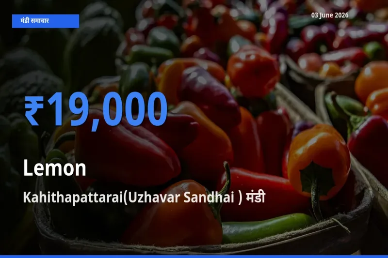 टॉप मंडी बना Kahithapattarai(Uzhavar Sandhai )! नींबू के सबसे ऊँचे दाम यहीं दर्ज