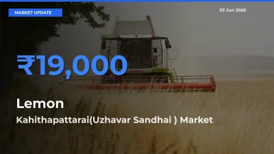 Lemon Mandi Rate Today: Kahithapattarai(Uzhavar Sandhai ) Tops the List