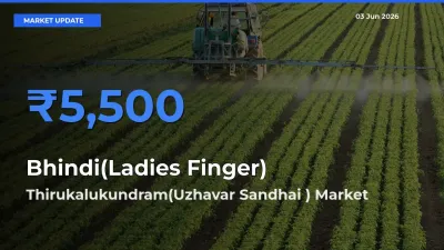 Thirukalukundram(Uzhavar Sandhai ) Records Highest ₹5,500 Rate for Bhindi(Ladies Finger)