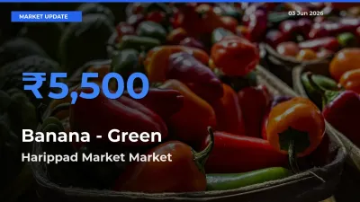 Harippad Market Emerges as Top Mandi for Banana - Green Prices Today