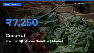 Kovilpatti(Uzhavar Sandhai ) Leads as Top Mandi for Coconut Prices