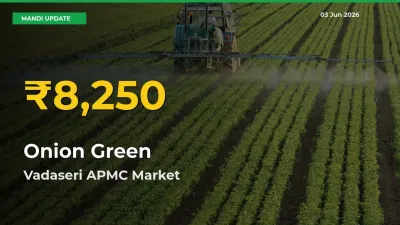 Farmers Benefit as Onion Green Rate Touches New High in Vadaseri APMC