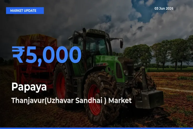 Thanjavur(Uzhavar Sandhai ) Tops Papaya Rates – June 03 Market Update