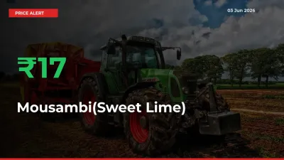 Mousambi(Sweet Lime) Rises 16.57% at Mandis