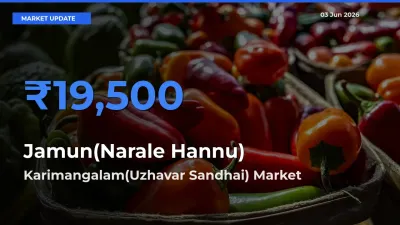 Market Watch: Karimangalam(Uzhavar Sandhai) Becomes Top Mandi for Jamun(Narale Hannu)