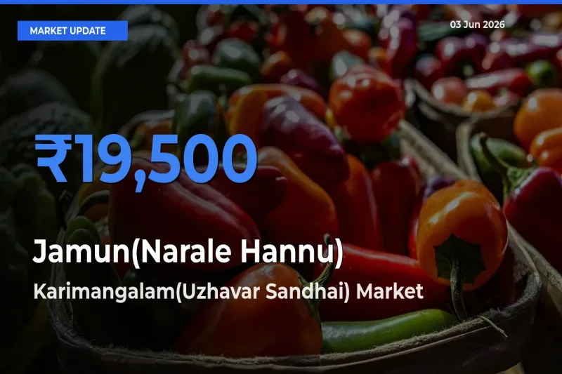 Market Watch: Karimangalam(Uzhavar Sandhai) Becomes Top Mandi for Jamun(Narale Hannu)