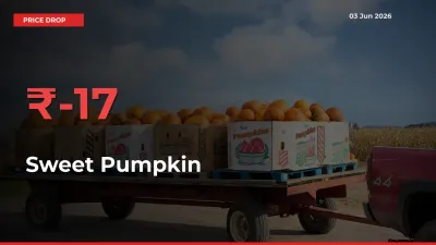 Sweet Pumpkin Mandi Rate Today: Prices Fall 16.83% at Market