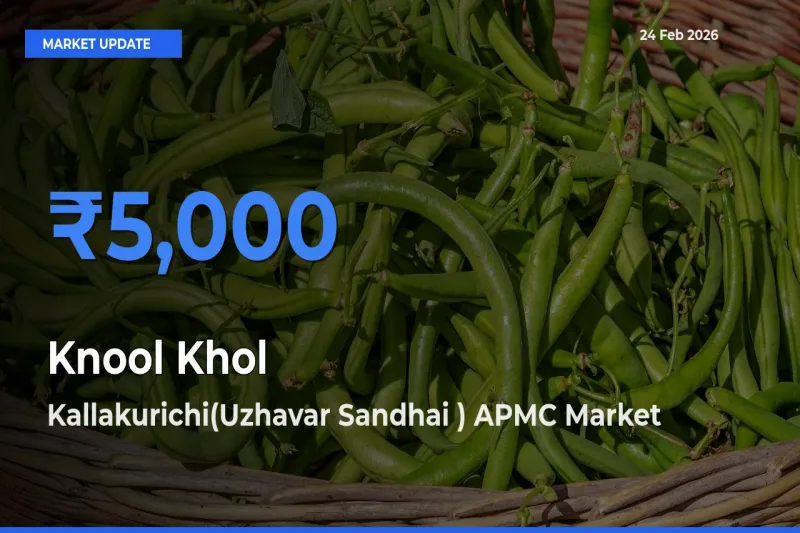 Farmers Prefer Kallakurichi(Uzhavar Sandhai ) APMC as Knool Khol Hits Highest Rate
