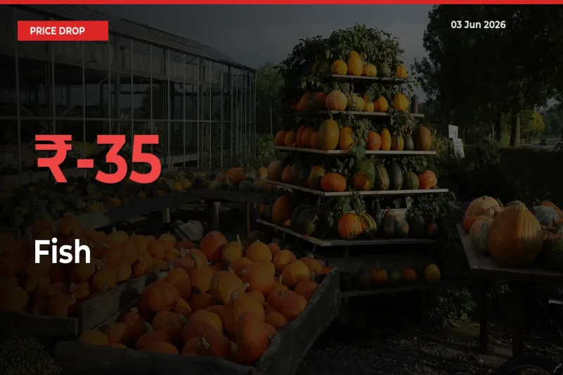 Farmers Alert as Fish Prices Slide 35.46% in Local Mandis