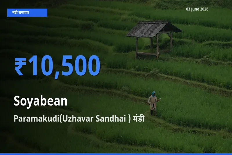 Paramakudi(Uzhavar Sandhai ) मंडी में सोयाबीन ₹10,500 पर पहुँचा – आज का सर्वोच्च भाव