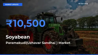 Soyabean Mandi Rate Today: Paramakudi(Uzhavar Sandhai ) Tops the List