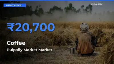 Pulpally Market Emerges as Top Mandi for Coffee Prices Today