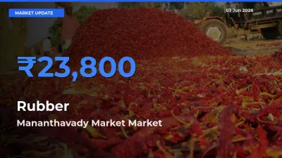 Top Performer! Mananthavady Market Offers Best Rubber Price Today