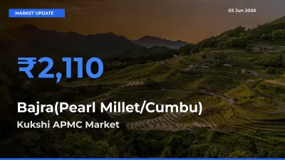 Kukshi APMC Leads as Top Mandi for Bajra(Pearl Millet/Cumbu) Prices